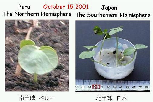 Fig. 5 We are working with friends in Peru and Belgium.