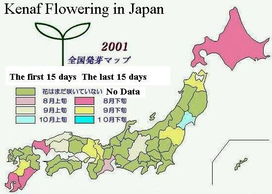Fig. 16 Kenaf Flowering Map