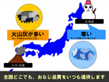 プロの視点を