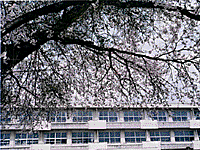 Image Photo